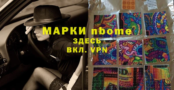 ПСИЛОЦИБИНОВЫЕ ГРИБЫ Горно-Алтайск