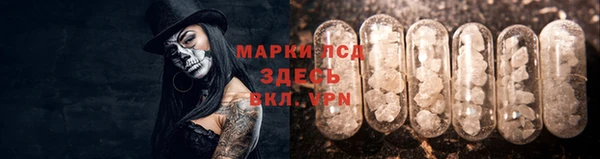 мяу мяу мука Горнозаводск