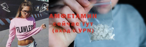 ПСИЛОЦИБИНОВЫЕ ГРИБЫ Горно-Алтайск