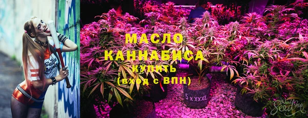 ПСИЛОЦИБИНОВЫЕ ГРИБЫ Горно-Алтайск