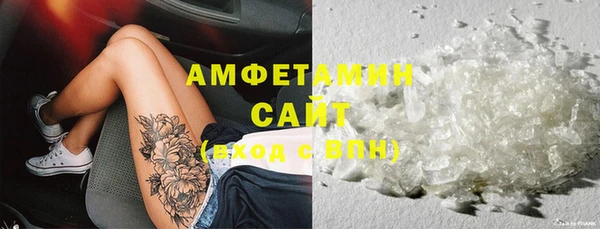 ПСИЛОЦИБИНОВЫЕ ГРИБЫ Горно-Алтайск
