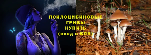 героин Вяземский