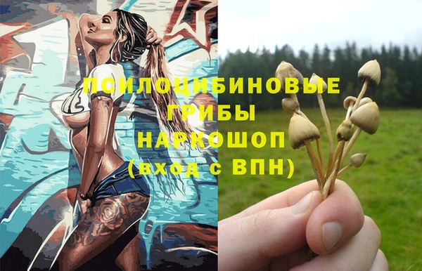 ПСИЛОЦИБИНОВЫЕ ГРИБЫ Горно-Алтайск