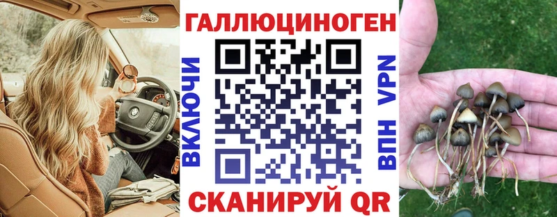 Галлюциногенные грибы GOLDEN TEACHER Шлиссельбург